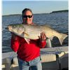 Image 2 : 1 Day Striper (Rockfish) Trip with Bent Rod Charters for 3