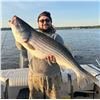 Image 4 : 1 Day Striper (Rockfish) Trip with Bent Rod Charters for 3
