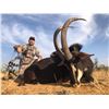 Image 1 : 5-Day FREE RANGE Plains Game hunt for 2 Rifle Hunters with Avula Safaris - EXHIBITOR