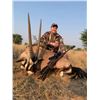 Image 3 : 5-Day FREE RANGE Plains Game hunt for 2 Rifle Hunters with Avula Safaris - EXHIBITOR