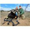 Image 4 : 5-Day FREE RANGE Plains Game hunt for 2 Rifle Hunters with Avula Safaris - EXHIBITOR