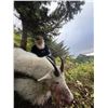 Image 2 : Alaska Mountain Goat Hunt With Far North Adventures		EXHIBITOR