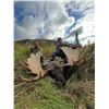 Image 6 : Alaska Mountain Goat Hunt With Far North Adventures		EXHIBITOR
