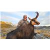 Image 3 : New Zealand 10-Day Red Stag, Bull Tahr, Alpine Chamois Hunt for 4 Hunters
