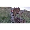 Image 4 : New Zealand 10-Day Red Stag, Bull Tahr, Alpine Chamois Hunt for 4 Hunters