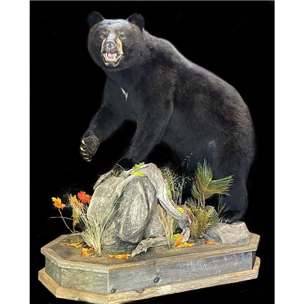 Lifesize Mount from True-Life Taxidermy				EXHIBITOR