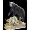 Image 1 : Lifesize Mount from True-Life Taxidermy				EXHIBITOR