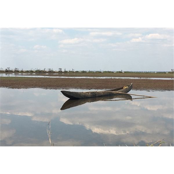 7-Day Zambia Plains Game Hunt for 2 Hunters with Muchinga Adventures