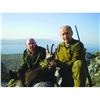 Image 1 : Croatia Choice for 1 Hunter and 1 Non-Hunter w/ Josip Tomljanovic