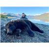 Image 1 : Alaska Spot & Stalk Brown Bear Hunt with Alaska’s Greatland Outfitters        Exhibitor