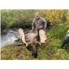 Image 3 : Alaska Spot & Stalk Brown Bear Hunt with Alaska’s Greatland Outfitters        Exhibitor