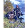 Image 5 : Alaska Spot & Stalk Brown Bear Hunt with Alaska’s Greatland Outfitters        Exhibitor