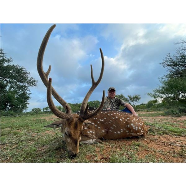 Texas Axis Deer for 2 with Pope Brothers Guide Service