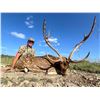 Image 4 : Texas Axis Deer for 2 with Pope Brothers Guide Service