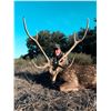 Image 7 : Texas Axis Deer for 2 with Pope Brothers Guide Service