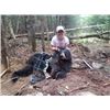 Image 1 : Katahdin's Shadow Outfitters Maine Black Bear Hunt for 1	EXHIBITOR