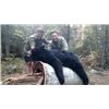 Image 2 : Katahdin's Shadow Outfitters Maine Black Bear Hunt for 1	EXHIBITOR
