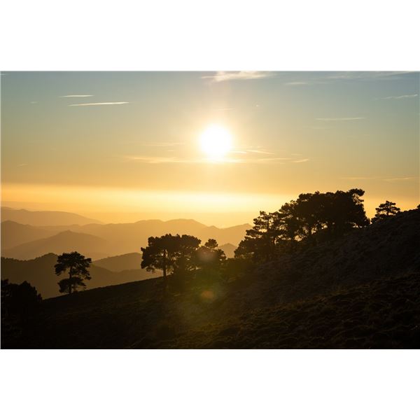 Southeastern Ibex hunt in Spain for 2 hunters