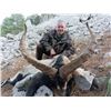 Image 3 : Southeastern Ibex hunt in Spain for 2 hunters