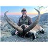 Image 5 : Southeastern Ibex hunt in Spain for 2 hunters