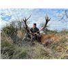 Image 1 : 5 Day Argentina Hunt for 2 hunters with Catena Safaris for Red Stag & Ram