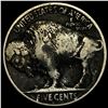 Image 2 : 1928-D Buffalo Nickel CIRC
