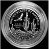 Image 2 : 2001-W Platinum $25 1/4 oz Proof CHOICE PROOF