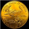 Image 2 : 2004 1oz Gold American Eagle $50 SUPERB GEM BU