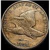 Image 1 : 1858 Flying Eagle Cent NEARLY UNCIRCULATED