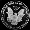 Image 2 : 1993-P 1oz Silver American Eagle CHOICE PROOF
