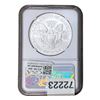 Image 2 : 2006-W Silver Eagle NGC MS69 20th Anniversary