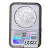 Image 2 : 2006-W Silver Eagle NGC MS69 20th Anniversary