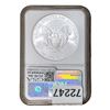 Image 2 : 2010 Silver Eagle NGC MS70 Early Releases