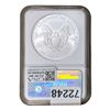 Image 2 : 2010 Silver Eagle NGC MS70 Early Releases