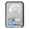 Image 2 : 2010 Silver Eagle NGC MS70 Early Releases