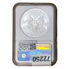 Image 2 : 2010 Silver Eagle NGC MS70 Early Releases
