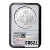 Image 2 : 2006-W Silver Eagle NGC MS69 Burnished 20th Anniv.