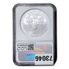 Image 2 : 2008 Silver Eagle NGC MS70