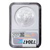 Image 2 : 2008 Silver Eagle NGC MS70
