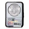Image 2 : 2011-W Silver Eagle NGC MS69 25th Anniversary