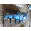 Image 2 : ISGEV 3-Phase Induction Motor 7.5HP with Pump 