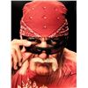 Image 1 : WWF Hulk Hogan signed photo