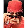 Image 1 : WWF Hulk Hogan signed photo