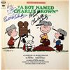 Image 1 : Peanuts A Boy Named Charlie Brown signed soundtrack album