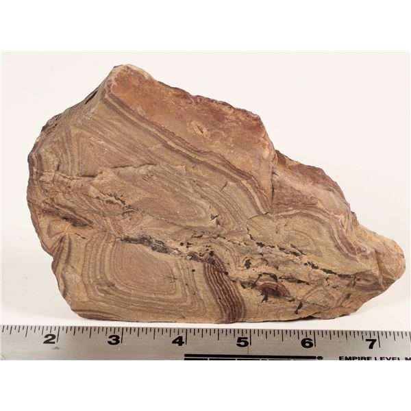 Picture Rock from the Gold Bar Mine, Eureka County, NV [199383]