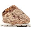 Image 2 : Picture Rock from the Gold Bar Mine, Eureka County, NV [199383]