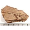 Image 3 : Picture Rock from the Gold Bar Mine, Eureka County, NV [199383]