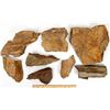 Image 1 : Structural Folds in Poorman Fm. Schist, Lead, SD [199190]