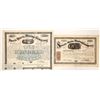 Image 1 : Specie Basis Mining Stock and Bond, 1866-69 [191854]