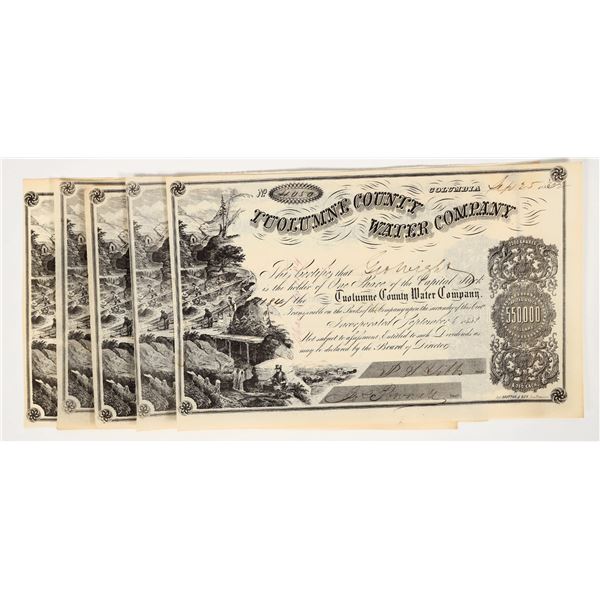 Tuolumne County Water Company Stock Group (5) (Gold Rush) [200856]